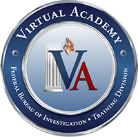Virtual Academy Seal